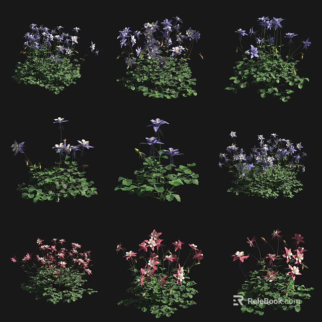 Different Colorful Flower Varieties With Green Foliage And Vibrant Blooms 3d model 