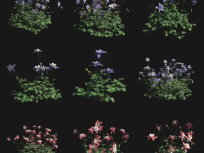 Different Colorful Flower Varieties With Green Foliage And Vibrant Blooms 3d model
