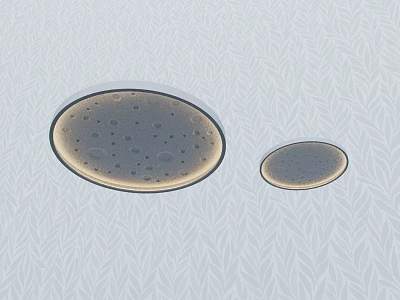 Two Oval Objects With Small Holes On Light Woven Texture Background 3d model