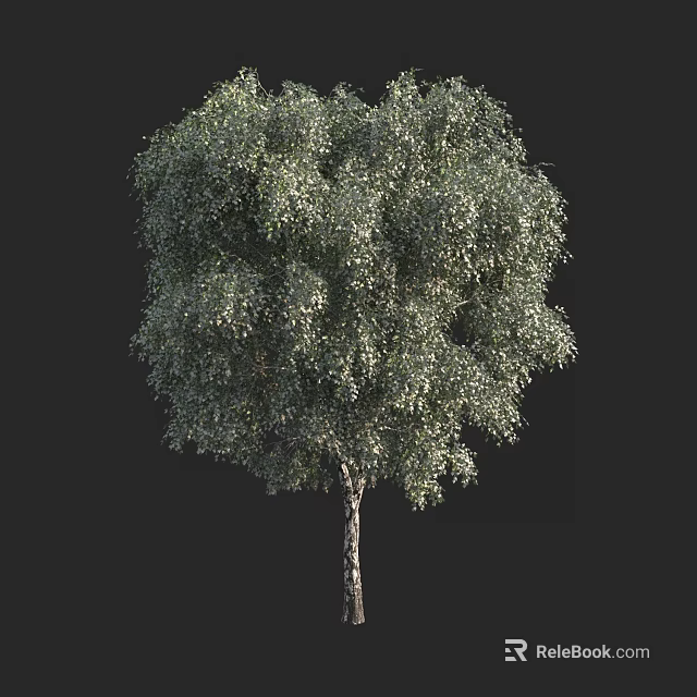 Lush Green Arbor With Dense Foliage And Straight Trunk In Natural Scene 3d model 
