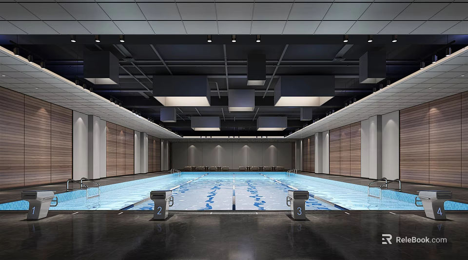Indoor Swimming Pool With Modern Ceiling Lighting Lane Lines And Wooden Wall Panels 3d model 