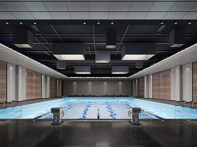 Indoor Swimming Pool With Modern Ceiling Lighting Lane Lines And Wooden Wall Panels 3d model