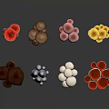 Colorful Various Types Of Mushrooms On Dark Background With Reflections And Arrangement