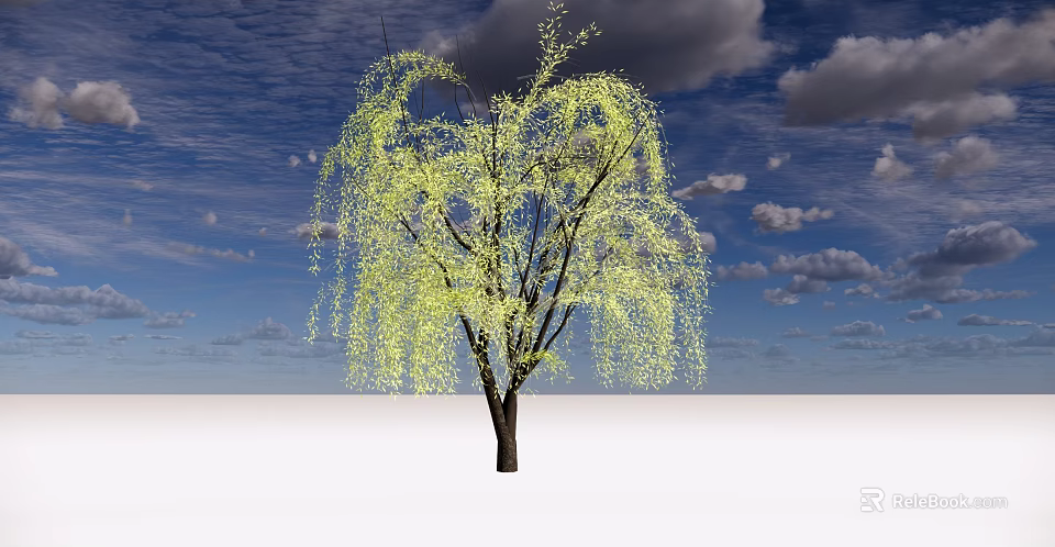 Weeping Willow Tree With Long Hanging Branches Light Green Leaves Against Blue Sky And Clouds 3d model 