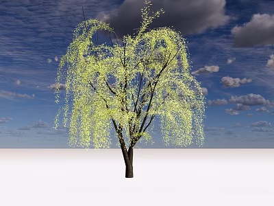 Weeping Willow Tree With Long Hanging Branches Light Green Leaves Against Blue Sky And Clouds 3d model