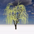 Weeping Willow Tree With Long Hanging Branches Light Green Leaves Against Blue Sky And Clouds