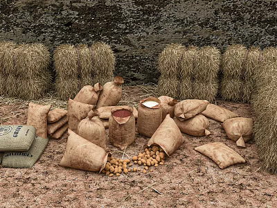 Hessian Storage Sacks Filled With Potatoes Near Hay Bales On Dirt Ground 3d model