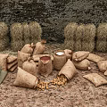 Hessian Storage Sacks Filled With Potatoes Near Hay Bales On Dirt Ground