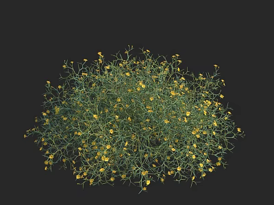 Green Plants With Yellow Flowers In Round Shape Against Black Background 3d model
