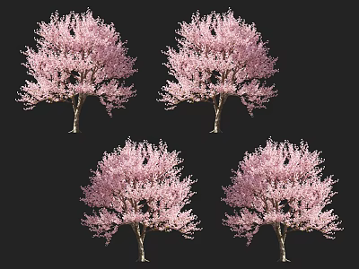 Vibrant Pink Flowering Trees With Lush Blooms On Black Background 3d model