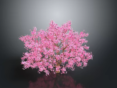 Stunning Tree With Vibrant Pink Blossoms On Gray Background And Reflection 3d model