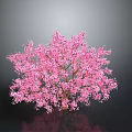 Stunning Tree With Vibrant Pink Blossoms On Gray Background And Reflection 3d model