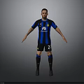Man Football Player In Blue Black Striped Jersey Number 23 Standing With Arms Outstretched