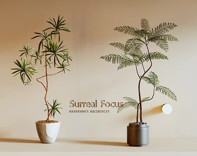 Two Bonsai Potted Plants with Distinct Leaf Shapes White Gray Pots Light Beige Background 3d model