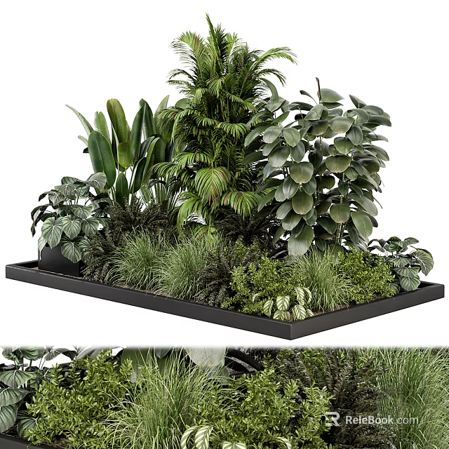 Lush Green Indoor Plants Arranged in Black Tray with Various Leafy Foliage 3d model 