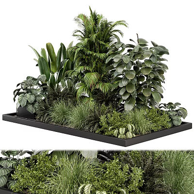 Lush Green Indoor Plants Arranged in Black Tray with Various Leafy Foliage 3d model