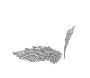 Wings feather with binding animation 3d model