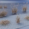Indoor Landscape Featuring Dried Grass With Small White Flowers And Blue Background