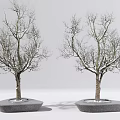 Modern Tree Pond Dead Tree Dry Branch Tree Landscape Tree 3d model