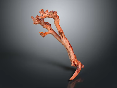 Natural Wooden Stone Sculpture with Unique Branch Like Shape and Texture 3d model