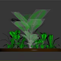 Lush Green Plant Arrangement With Round Brown Base And Tropical Leaves
