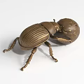 Bronze Beetle Landscape Sculpture With Metallic Finish Detailed Texture And Spherical Object