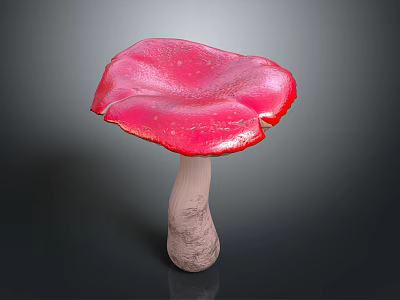 Red Mushroom Plant With Shiny Vibrant Red Cap And Light Colored Stem On Dark Background 3d model