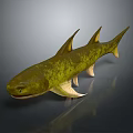 Green and Yellow Aquatic Fish With Spiked Dorsal Fins Streamlined Body And Pale Underbelly