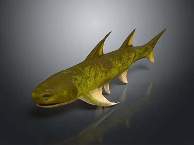 shark great white shark whale shark hammerhead shark tiger head shark man-eating shark blue shark coral red coral white coral 3d model