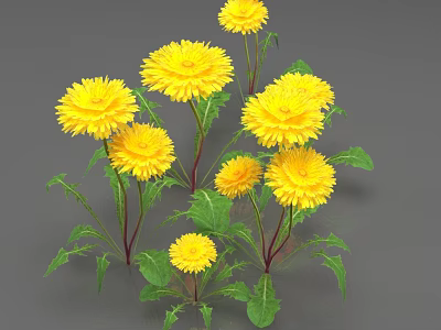 Blooming Yellow Dandelions With Multiple Flowers Green Leaves And Red Stems 3d model