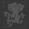 Tall Arbor with Green Leaves and Thick Trunk Near Human Silhouette on Black Background