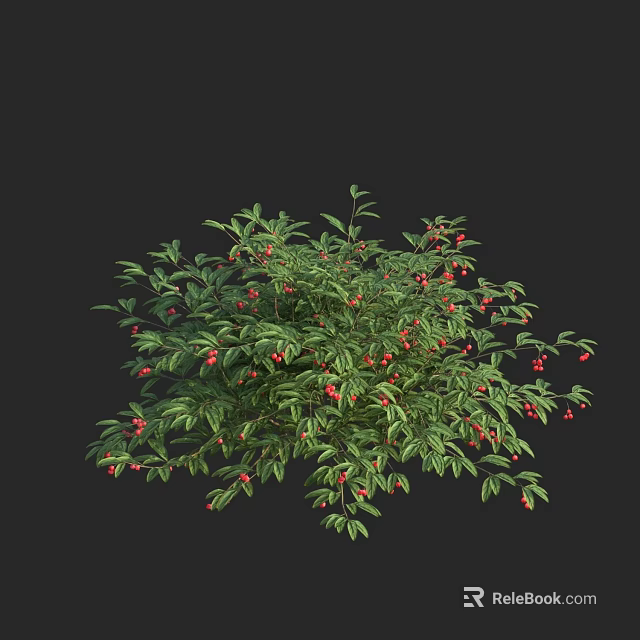 Evergreen Tree with Lush Green Foliage and Red Berries Against Black Backdrop 3d model 