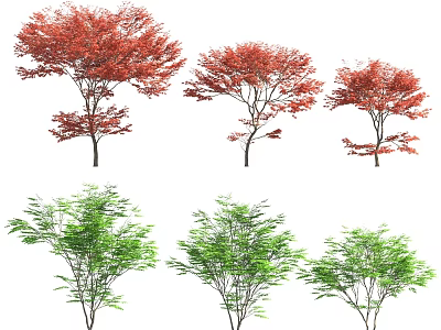 Six Arbor Trees With Red And Green Leaves Arranged In Two Rows Visual 3d model