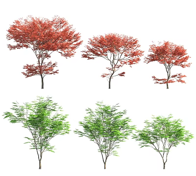 Six Arbor Trees With Red And Green Leaves Arranged In Two Rows Visual 3d model