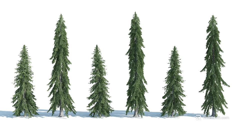 Evergreen Arbor Trees With Lush Green Foliage And Different Heights 3d model 