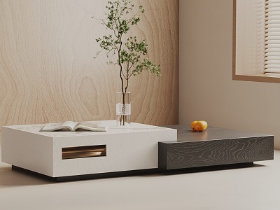 Modern coffee table model