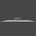 Realistic 3D Insect Models Showcasing Various Sizes And Poses 3d model