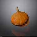 Fresh Ripe Orange Striped Pumpkin With Green Stem On Dark Background