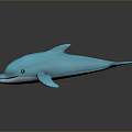 Blue Dolphin Toy Model With Smooth Surface And Black Background Reflection