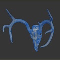 Modern Skull Animal Bone Fossil Antler 3d model