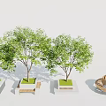 Modern Tree Planters With Three Trees Grass Topped And Wooden Circular Bench