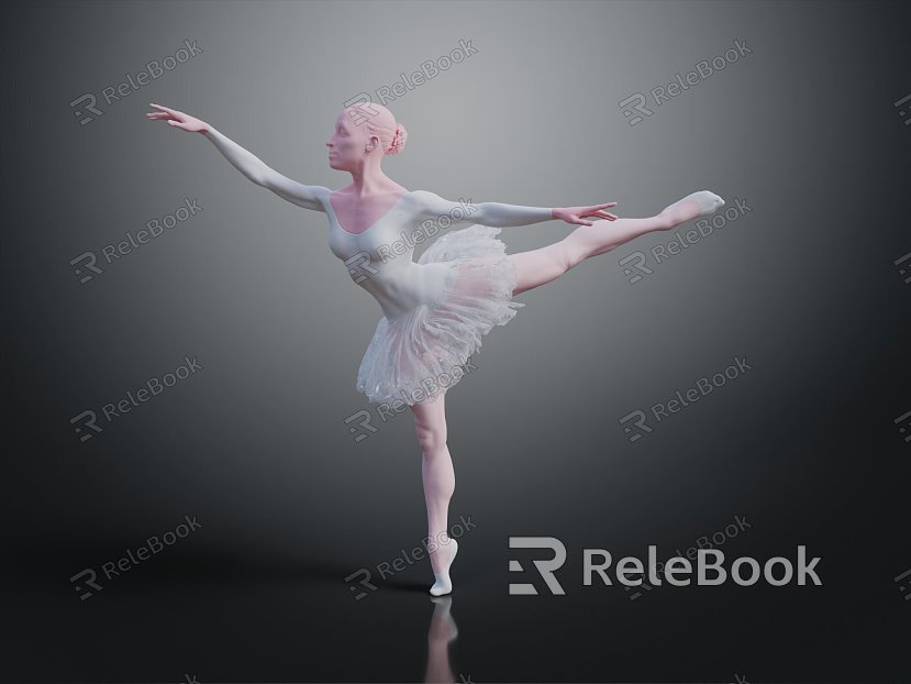 Modern Woman Ballet Dancer Female Dancer Female model