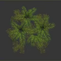 Green Tropical Plants With Lush Palm Leaves And Fern Foliage On Gray Background