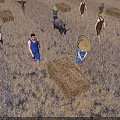 Farm Workers And Oxen Working In Agricultural Field With Straw Bales