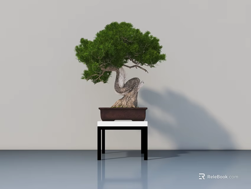 Bonsai Tree With Twisted Trunk Green Foliage In Brown Pot On Small Black Table 3d model 