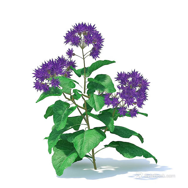 Vibrant Purple Flowers With Lush Green Leaves Growing On Sturdy Stem In Fresh Bloom 3d model 