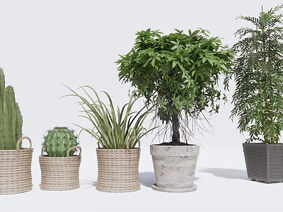 Various Potted Plants in Woven Baskets Stone Pots and Decorative Containers for Home Decor 3d model