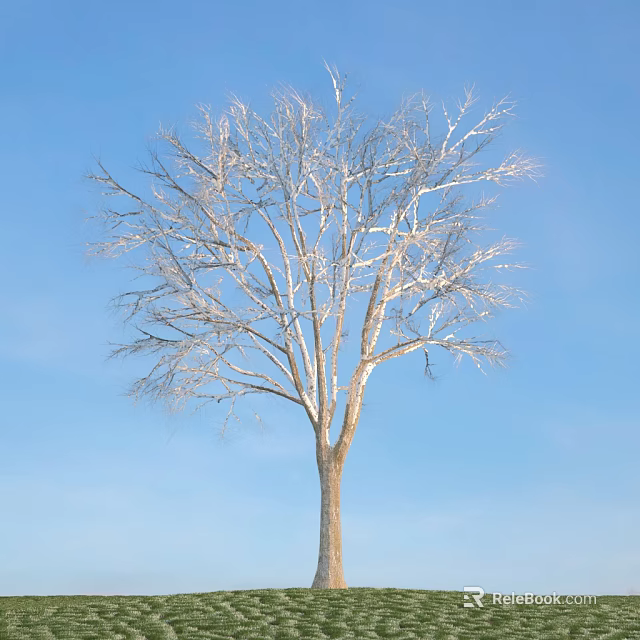 Tall Arbor With Bare Branches And Natural Trunk Against Clear Blue Sky 3d model 