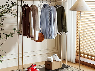 Clothing Rack With Hanging Clothes Floor Lamp Plant Wooden Box Shoes White Wall Window Blinds 3d model