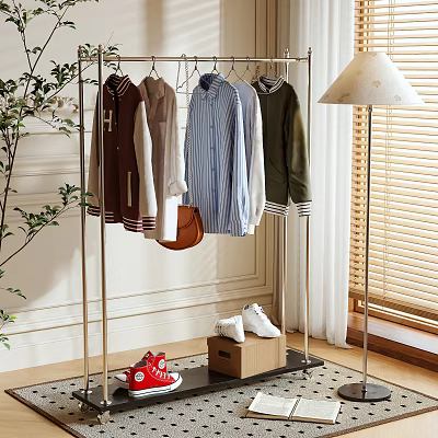 Clothing Rack With Hanging Clothes Floor Lamp Plant Wooden Box Shoes White Wall Window Blinds 3d model